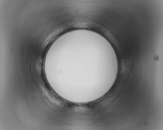 X0000110770586200907131236