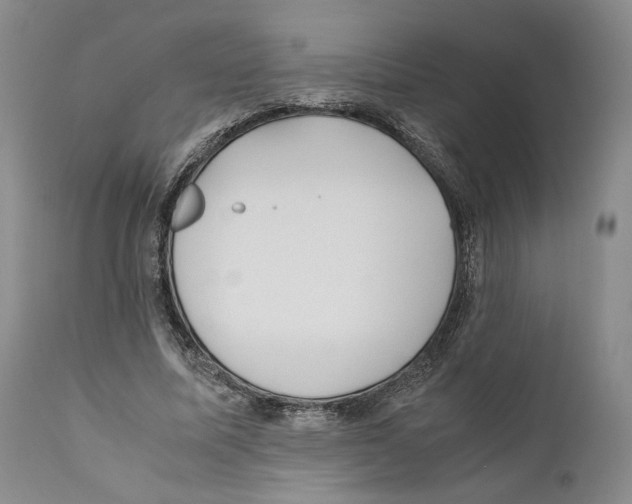 X0000110770587200907131236