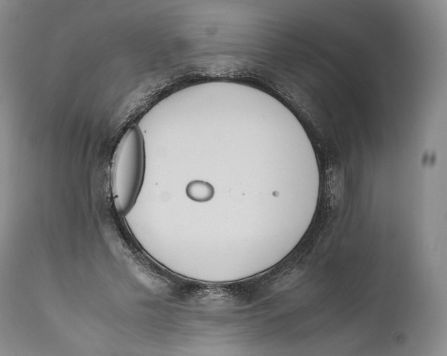 X0000110770589200907131235