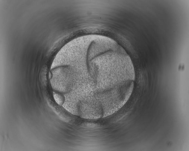 X0000110770590200907131235