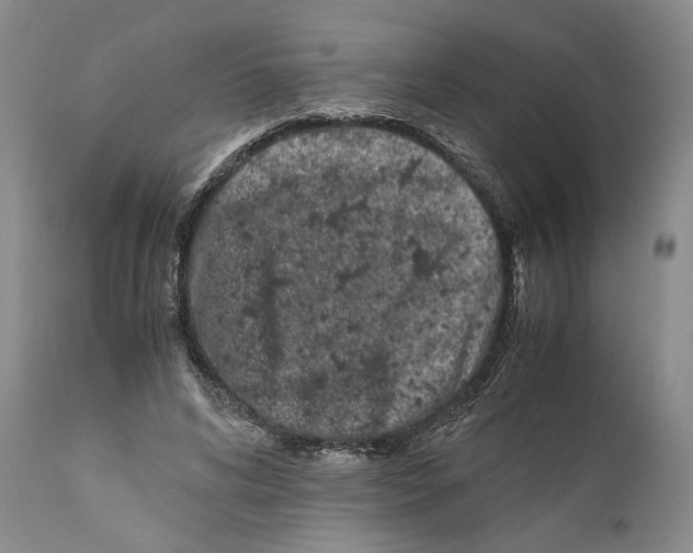 X0000110770592200907131235