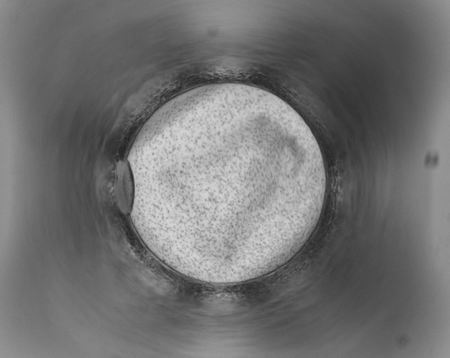 X0000110770593200907131235