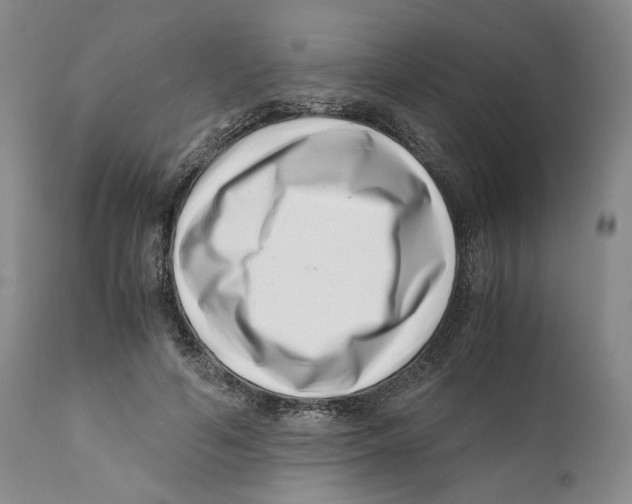 X0000110770594200907131235