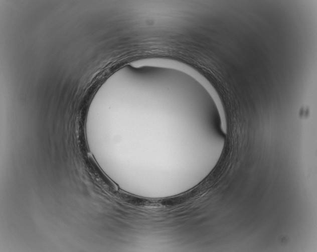 X0000110770595200907131235