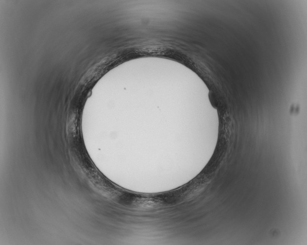 X0000110770597200907131235