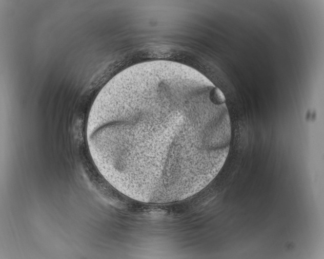 X0000110770598200907131235