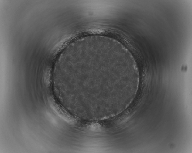 X0000110770600200907131235