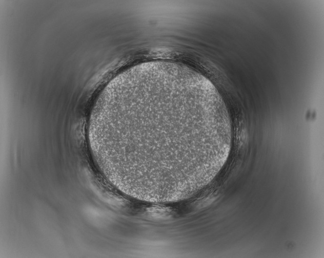 X0000110770603200907131235