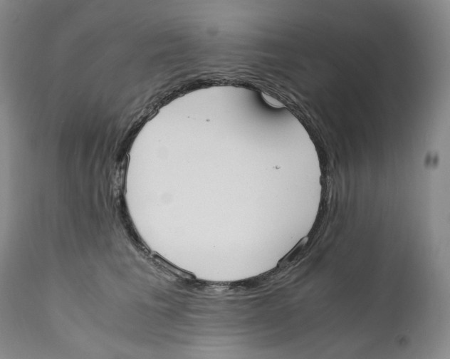 X0000110770613200907131235