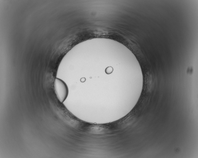 X0000110770614200907131235