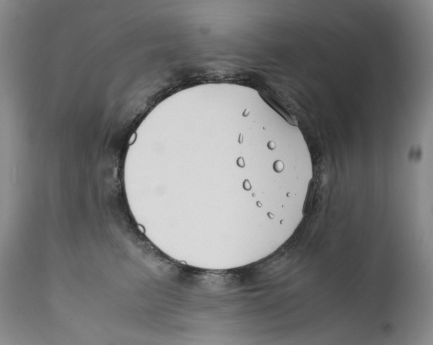 X0000110770615200907131235