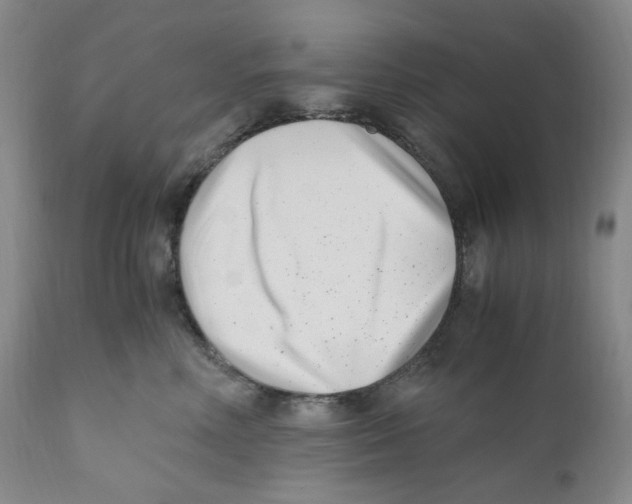 X0000110770618200907131235