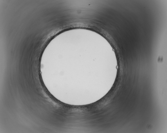 X0000110770625200907131234