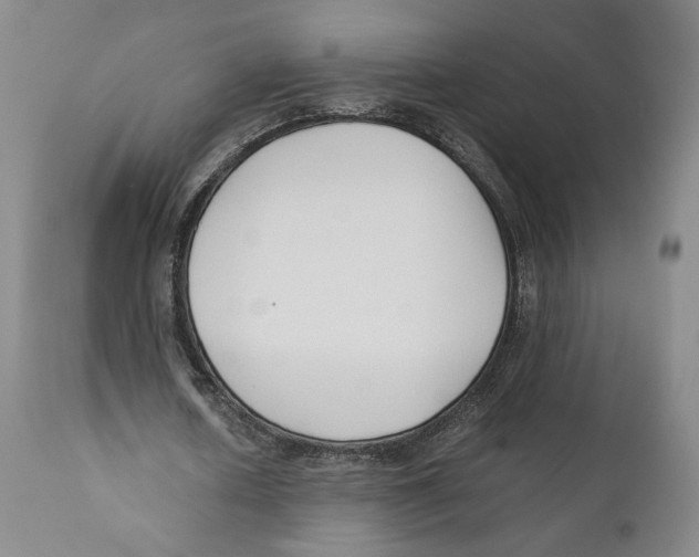 X0000110770626200907131234