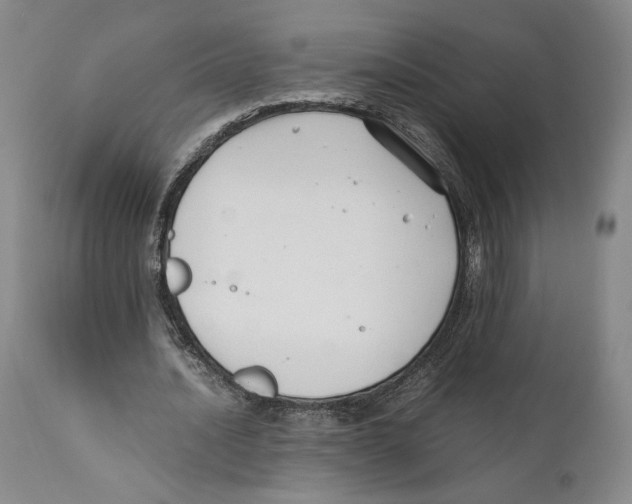 X0000110770628200907131234