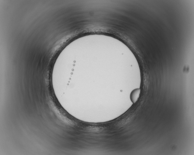 X0000110770629200907131234