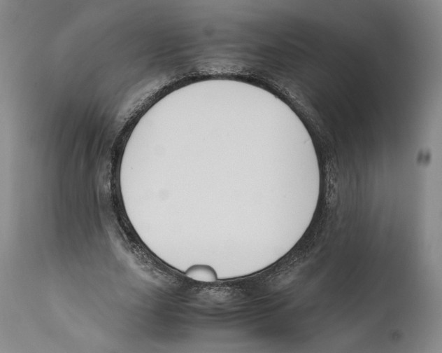 X0000110770631200907131234