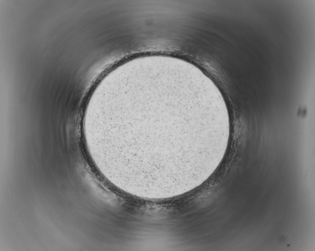 X0000110770632200907131234