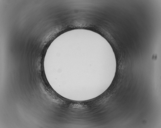 X0000110770635200907131234