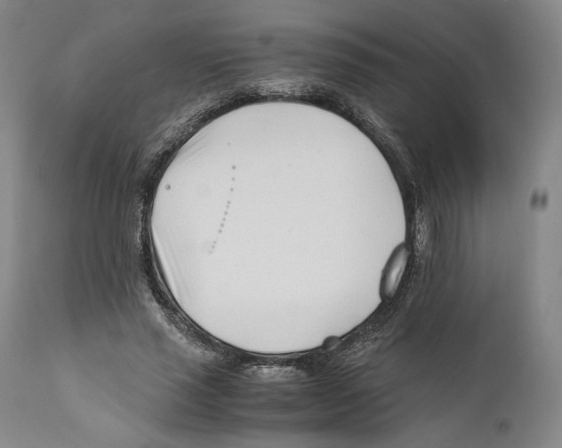 X0000110770637200907131235