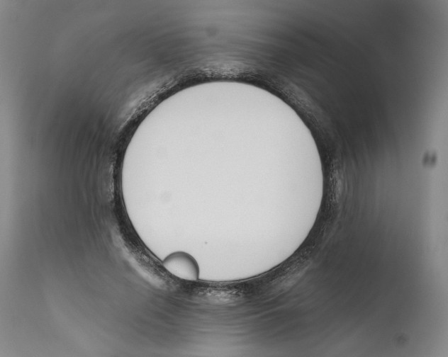 X0000110770638200907131235