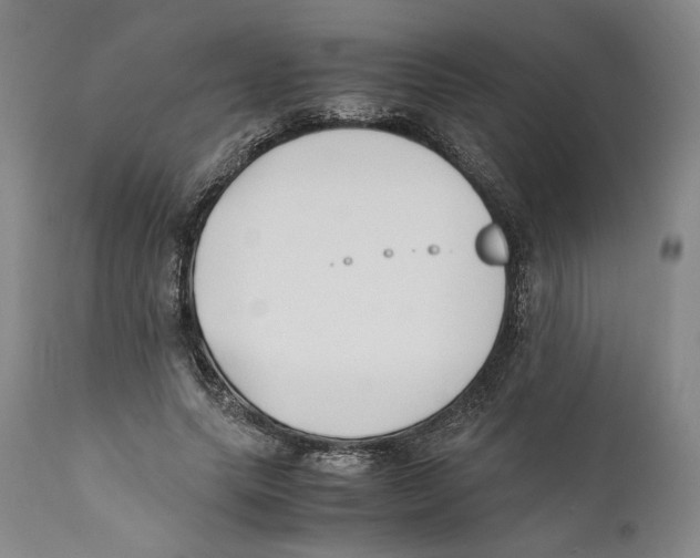 X0000110770639200907131235