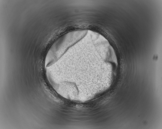 X0000110770641200907131235