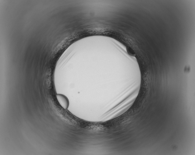 X0000110770642200907131235