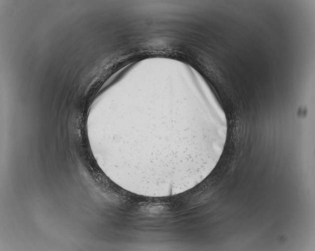 X0000110770643200907131235