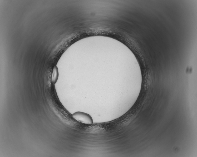 X0000110770644200907131235