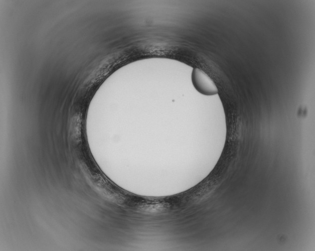 X0000110770646200907131235