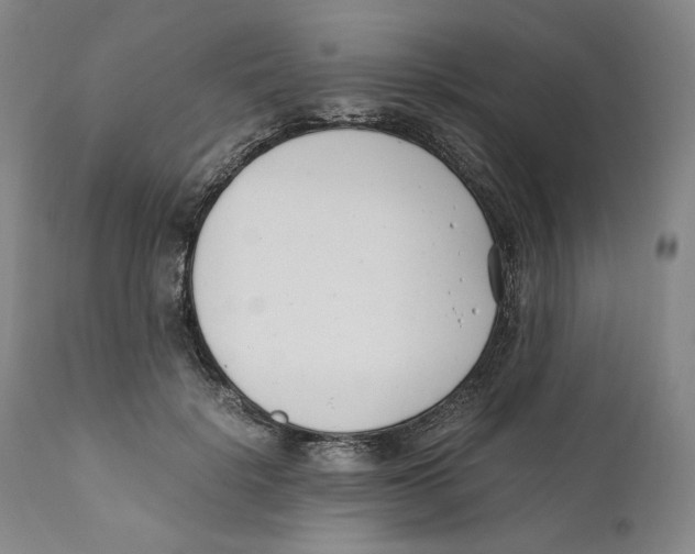 X0000110770652200907131235