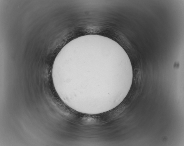 X0000110770655200907131235