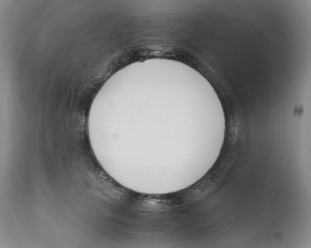 X0000110770657200907131235