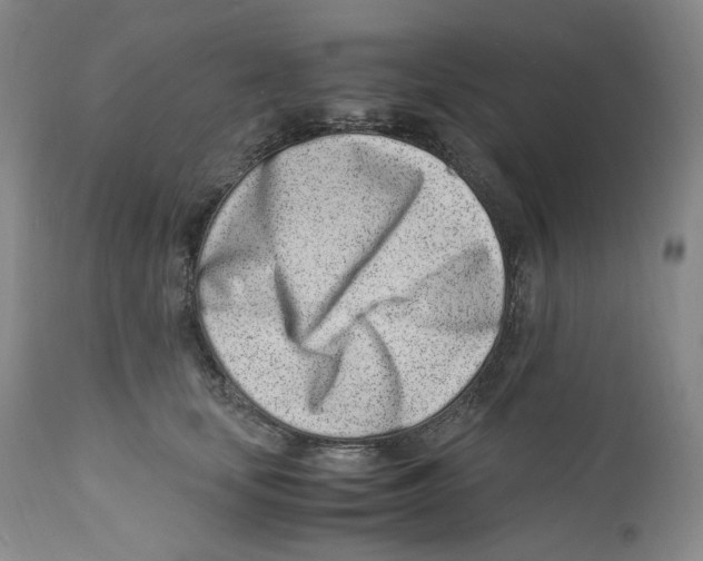 X0000110770659200907131235