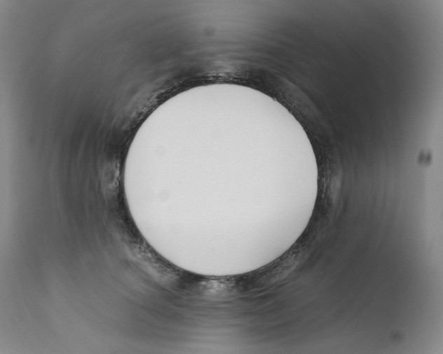 X0000110770660200907131235