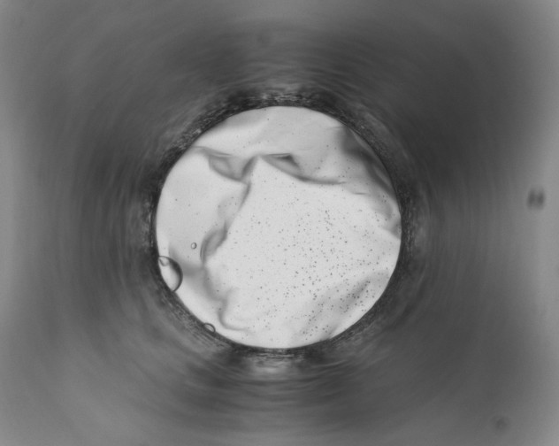 X0000110770661200907131235