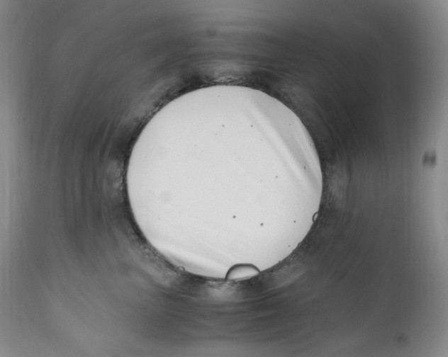 X0000110770667200907131235