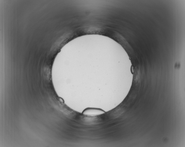 X0000110770669200907131235