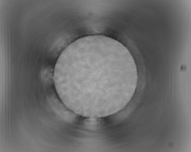 X0000110770672200907131235