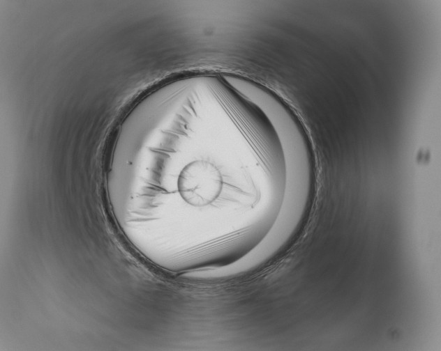 X0000110770673200907131234