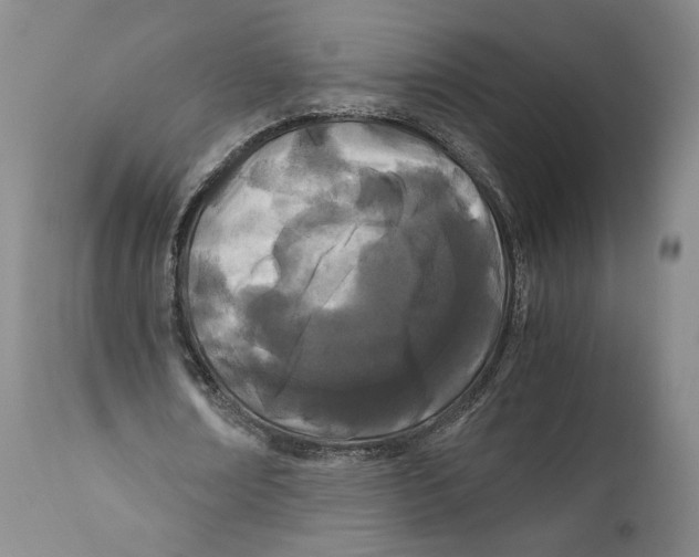 X0000110770674200907131234