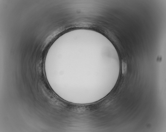 X0000110770675200907131234