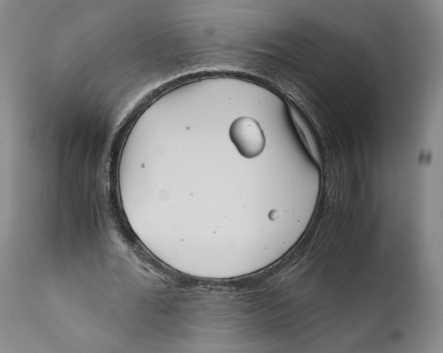 X0000110770676200907131234