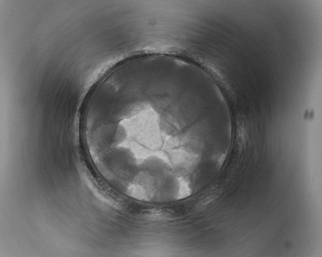 X0000110770678200907131234