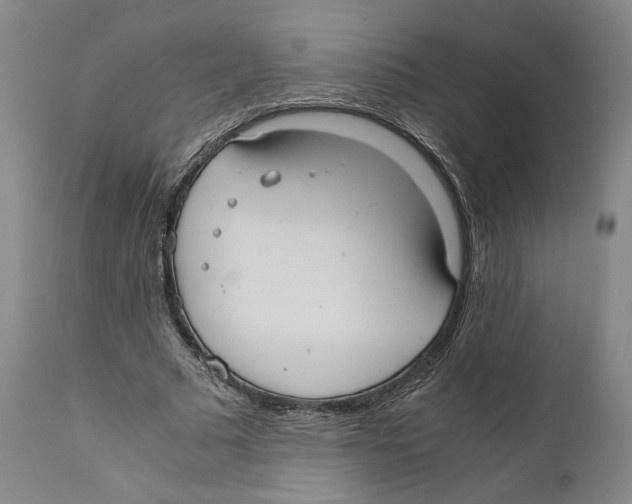 X0000110770681200907131234