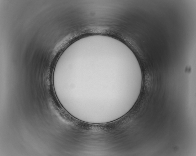 X0000110770682200907131234