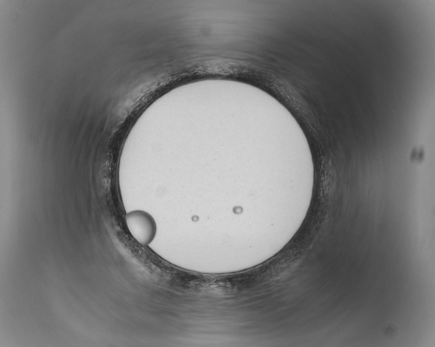 X0000110770683200907131234