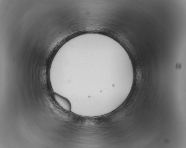 X0000110770684200907131234