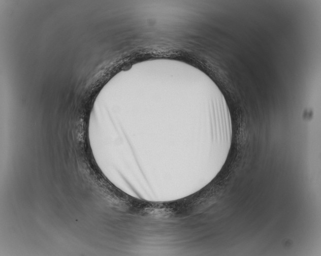 X0000110770689200907131234